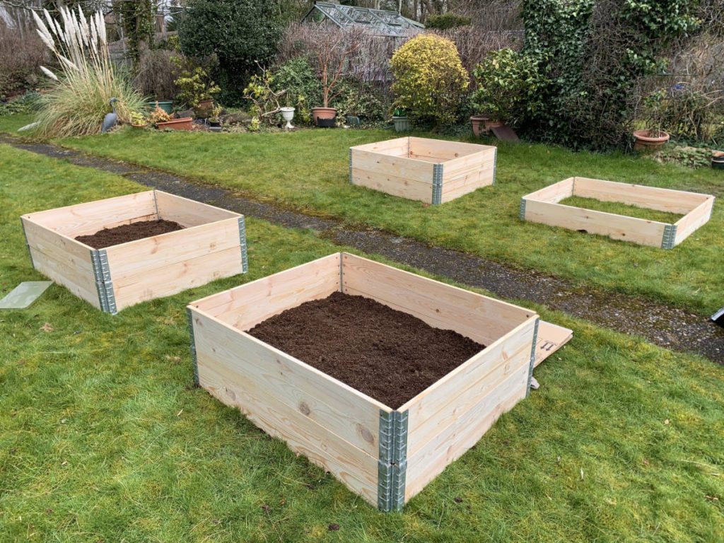 pallet collars laid out on the lawn and filled with soil and compost