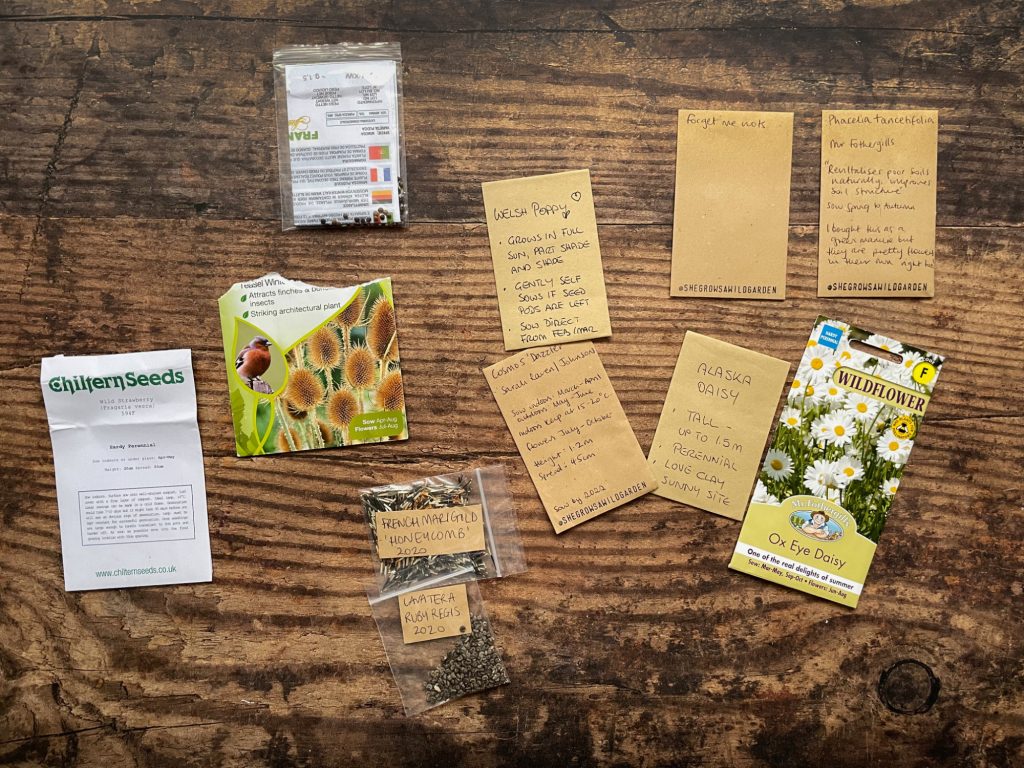 Am old wooden table top, top down, with packets of seeds: Thistles, teasels, ox eye daisy, French marigold, lavatory, welsh poppy, forget me nots. Other seed packets are obscured/too small to read.
