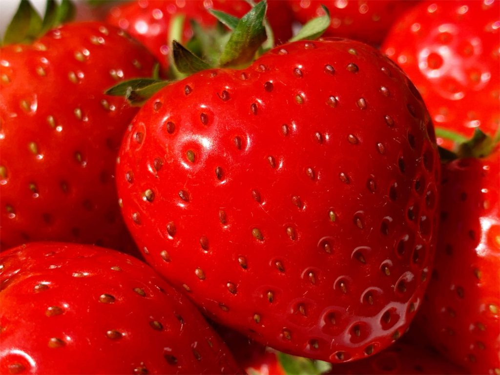 large juicy strawberries