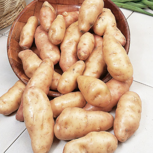 Anya potatoes