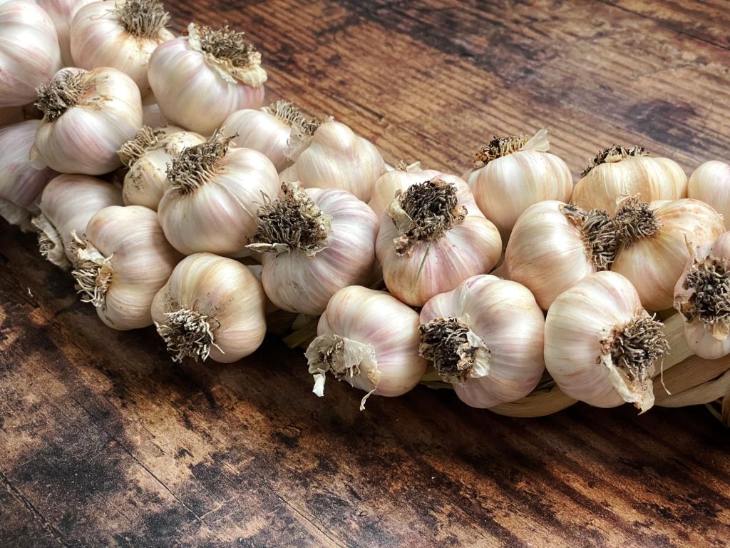 Homegrown garlic plait